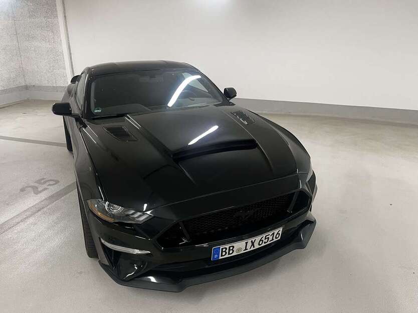 Mustang