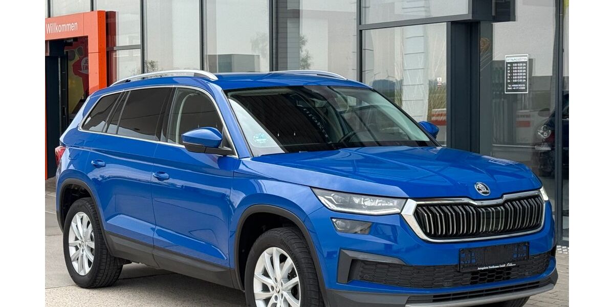 Skoda Kodiaq 170.000 km 23.999 &euro; Zierenberg-Oelshausen 34289