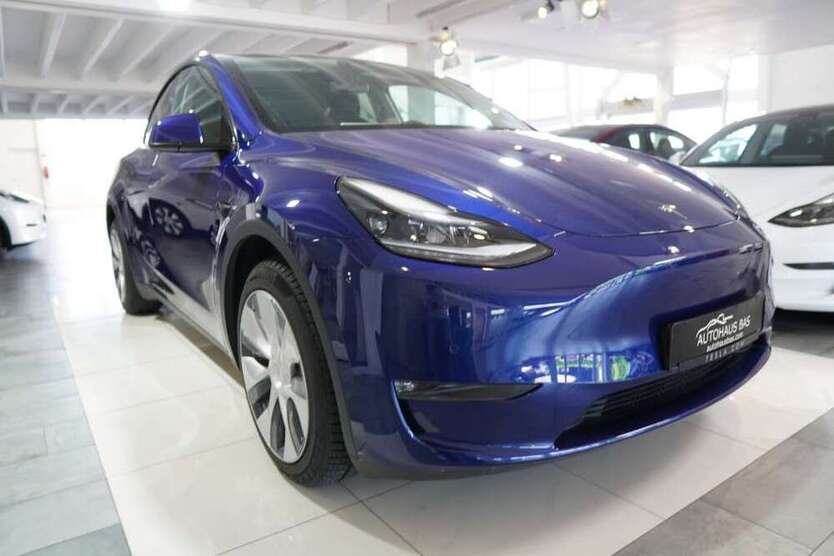 Model Y