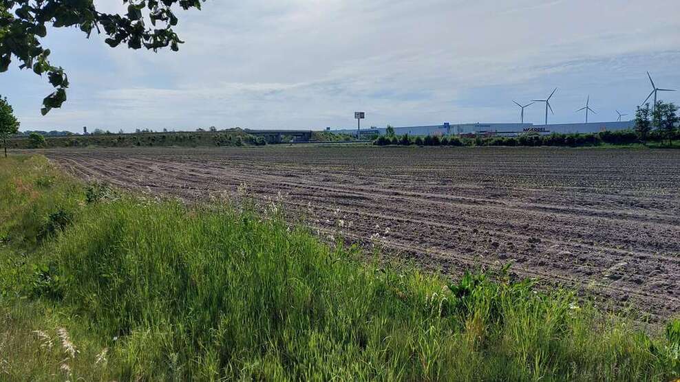 Grundstück in Elsdorf 78.000 € 1000 m²