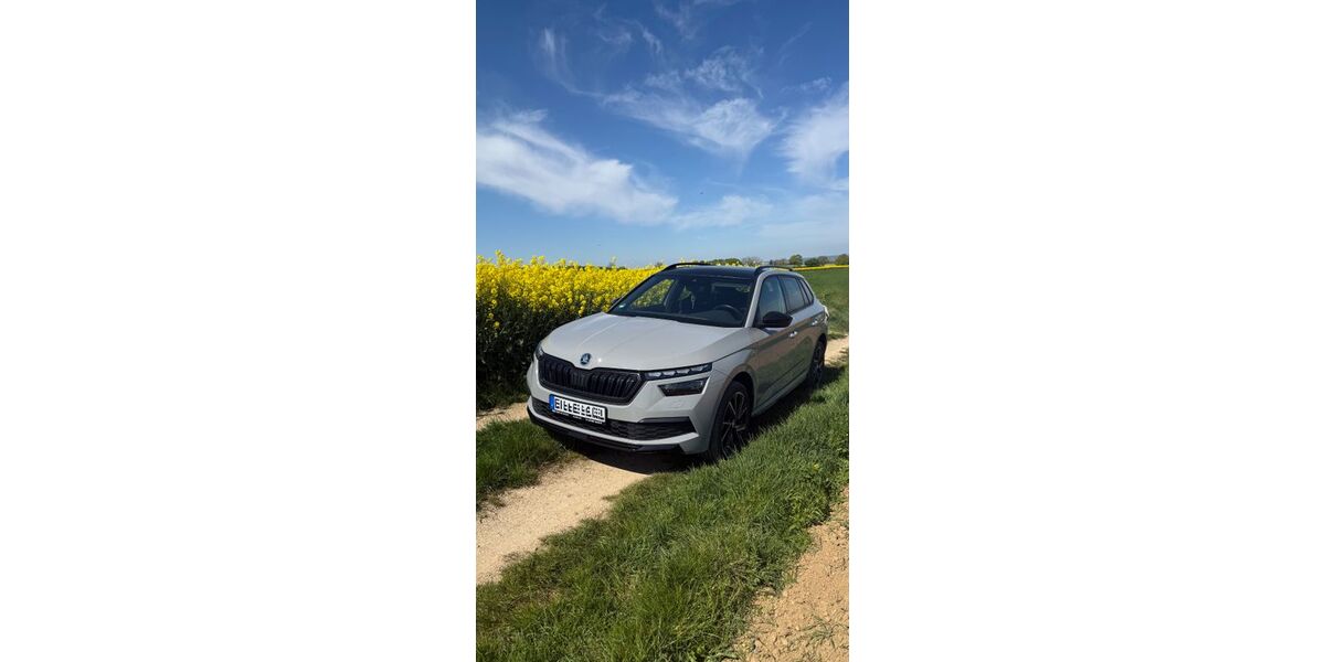 Skoda Kamiq 102.000 km 22.000 &euro; Euskirchen 53879