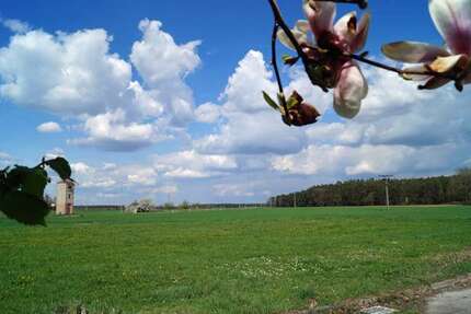 Haus Roßtal / Raitersaich Raitersaich - 11 Zimmer, 253 m&sup2;, 439.000&euro; | Angebot:21813629