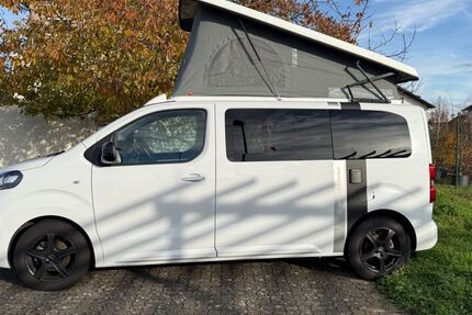 Opel Vivaro 19.400 km 49.900 € Kronau 76709
