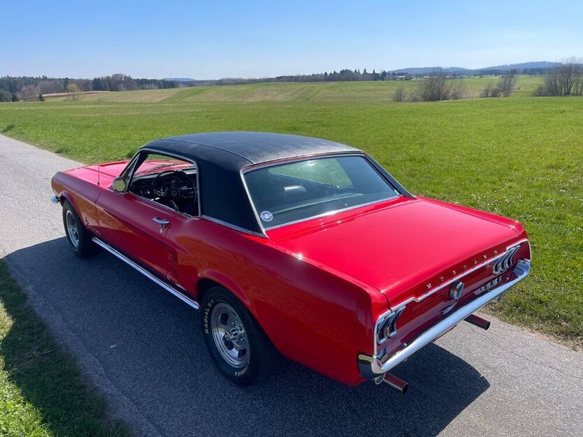 Mustang