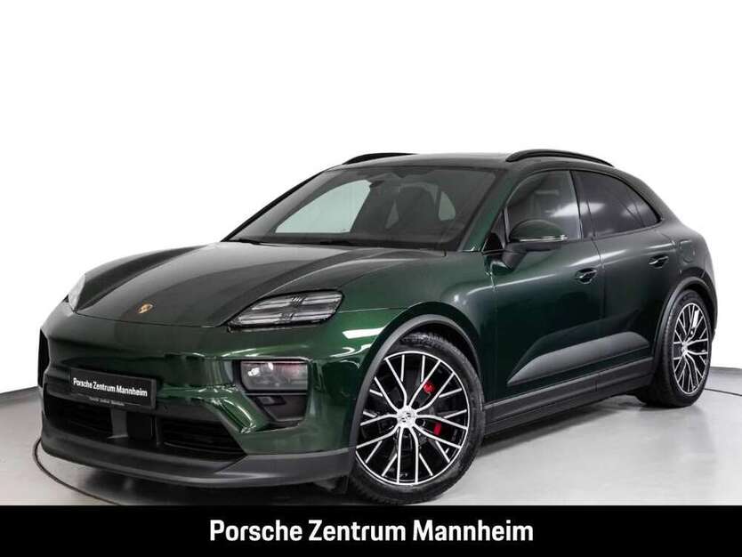 Macan