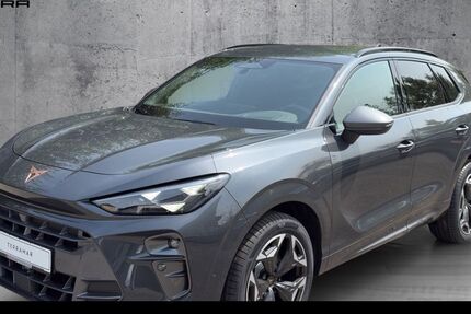 Cupra Terramar 4.500 km 43.850 &euro; Weißenburg in Bayern 91781