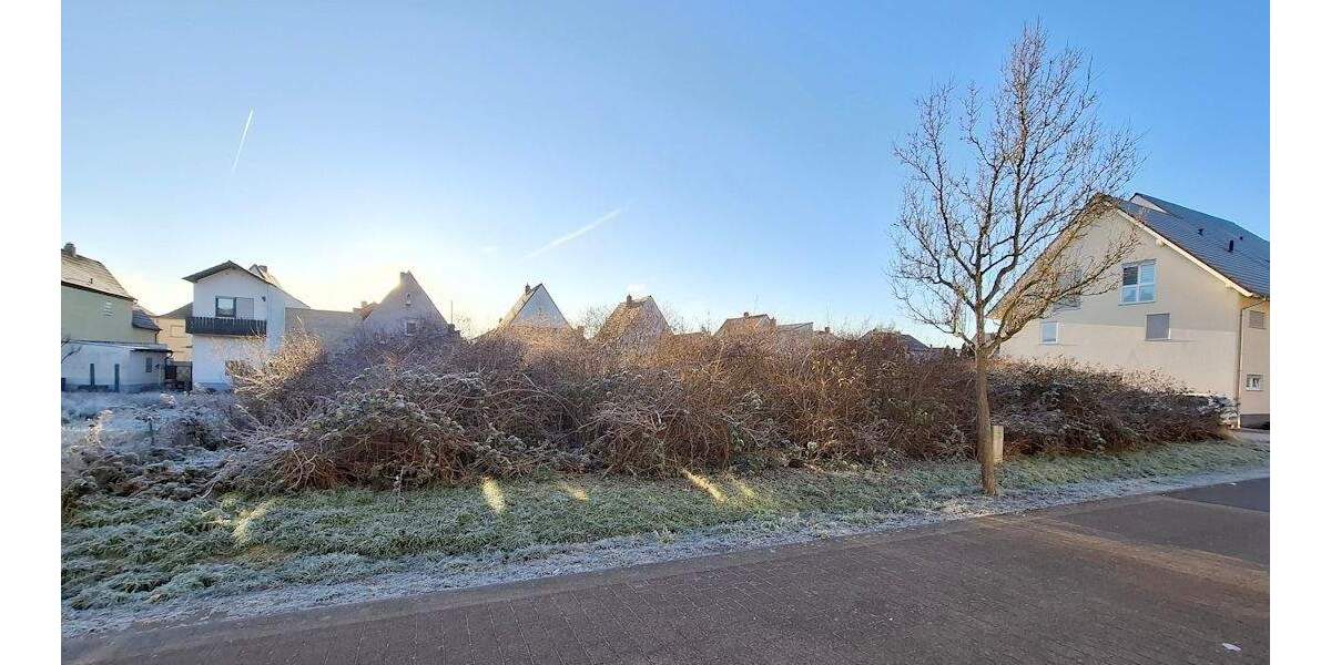 Grundstück Schifferstadt - 328.000&euro; | Angebot:25213132