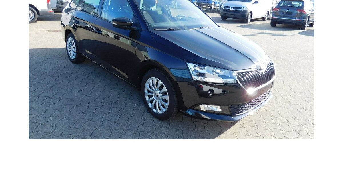 Skoda Fabia 1.0 Kombi Ambition TSI BMT Navi Klima 19.900 km 15.390 &euro; Vordorf 38533