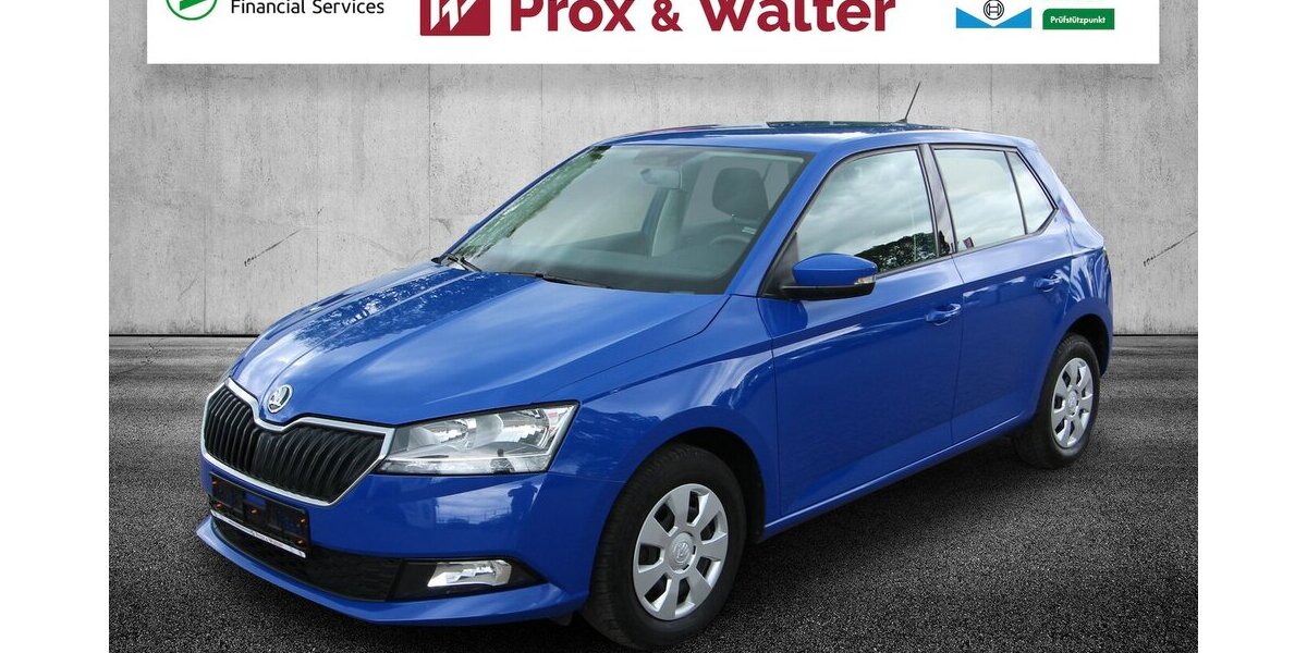 Skoda Fabia 1.0 MPI Cool Plus KLIMA+SITZHEIZUNG 130.693 km 7.900 &euro; Hagenow 19230