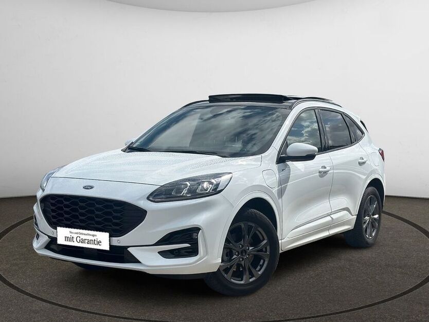 Kuga
