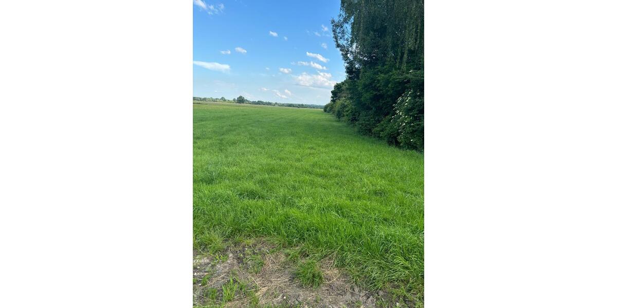 Grünland Wiese 0,47 ha - 4708 qm – 2 Flurstücke Sontheim Brenz zimmer