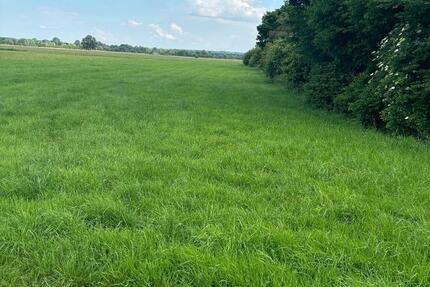 Grundstück Sontheim an der Brenz - 21.500&euro; | Angebot:20496215