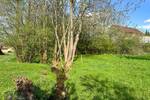 Grundstück Rosenbach Herwigsdorf - 36.000&euro; | Angebot:25675897