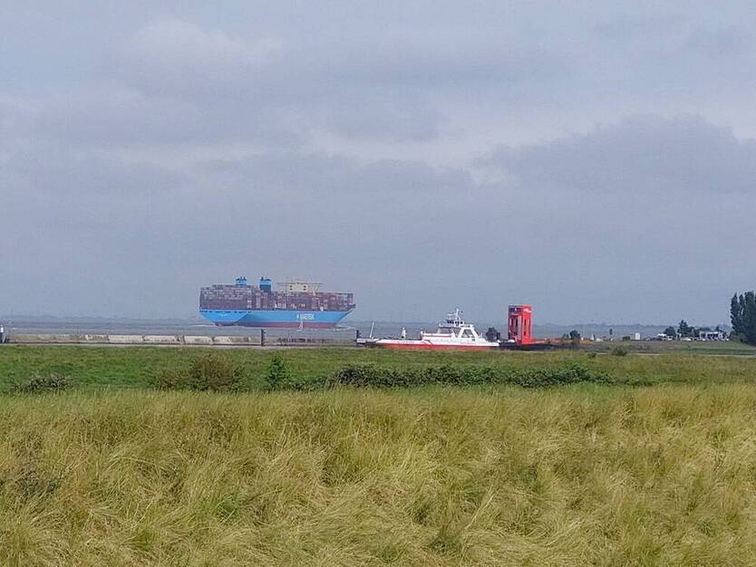 Traumgrundstück am Deich mit Elbblick