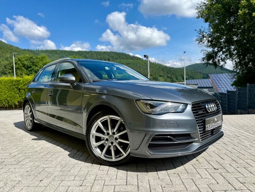 A3
