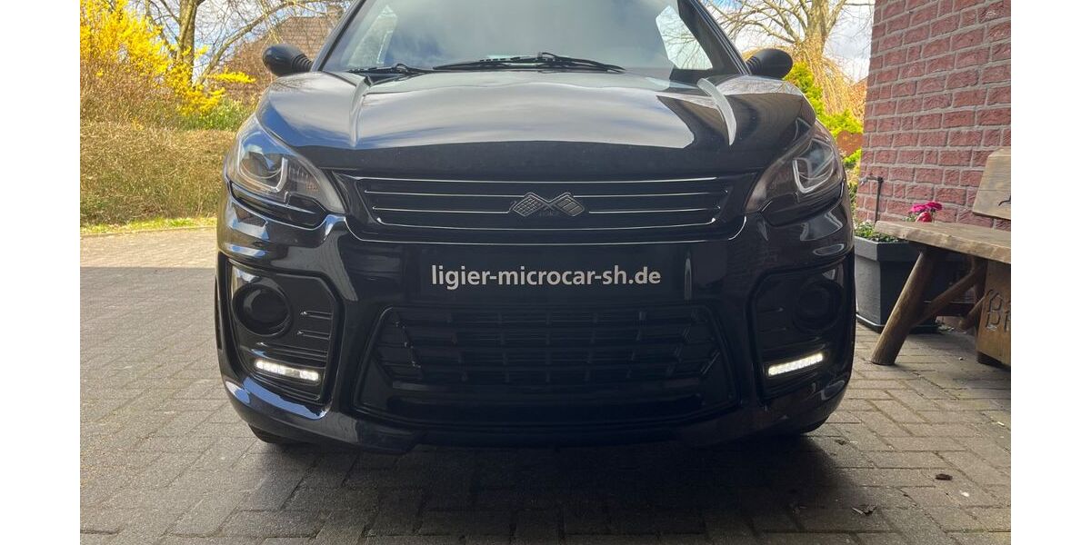 Ligier JS 50 38.000 km 13.200 &euro; Ellingstedt 24870