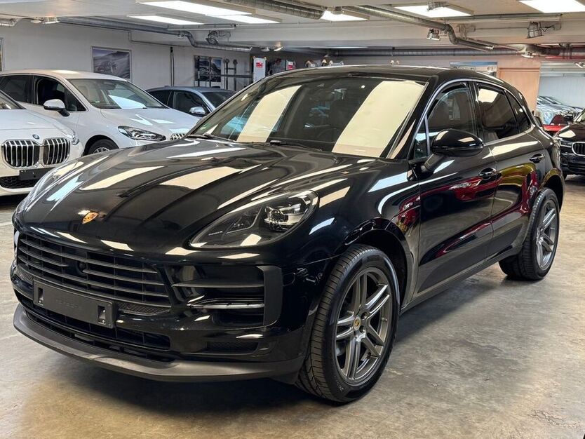 Macan
