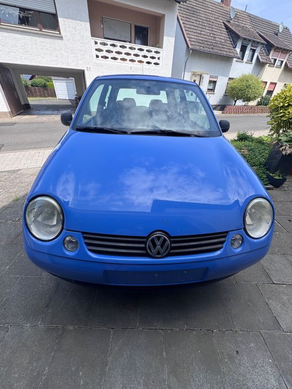 Lupo