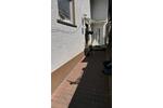 Doppelhaushälfte Mossautal - 9 Zimmer, 210 m&sup2;, 299.999&euro; | Angebot:26798373