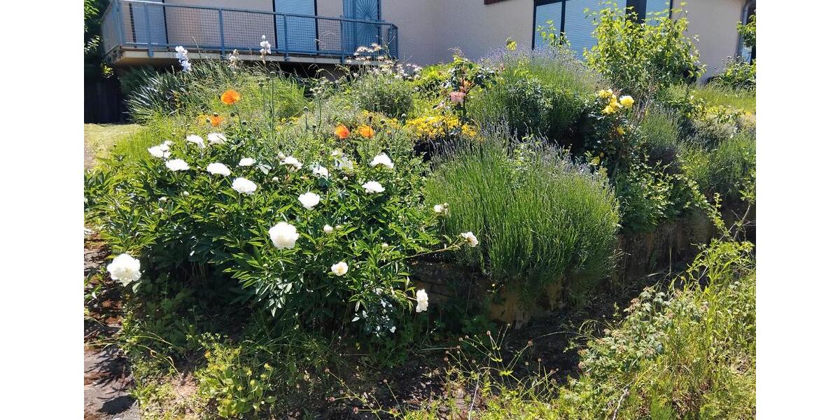 Bungalow Nidderau - 7 Zimmer, 133 m&sup2;, 635.000&euro; | Angebot:26777136
