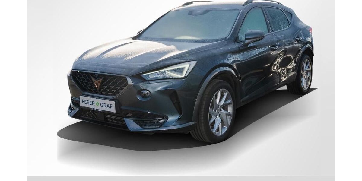 Cupra Formentor 46.733 km 24.490 &euro; Magdeburg 39118