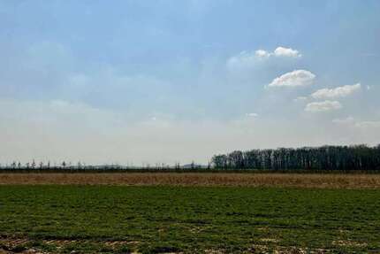 Grundstück Nörvenich - 289.900&euro; | Angebot:26265523