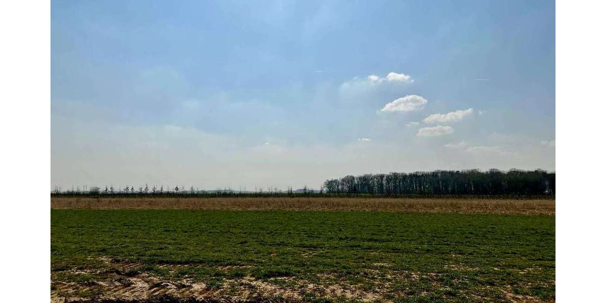 Grundstück Nörvenich - 289.900&euro; | Angebot:26265523