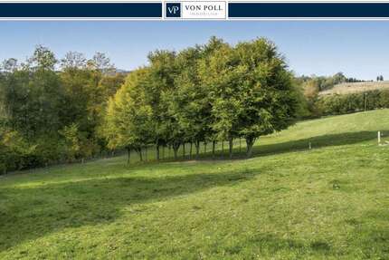 Grundstück Olsberg / Wiemeringhausen Wiemeringhausen - 63.000&euro; | Angebot:21676634