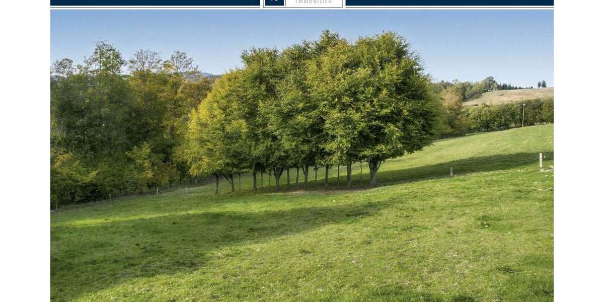 Grundstück Olsberg / Wiemeringhausen Wiemeringhausen - 63.000&euro; | Angebot:21676634