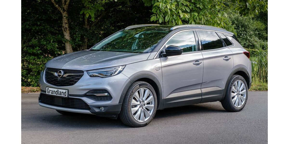 Opel Grandland (X) 114.493 km 16.900 &euro; Waldrach 54320