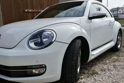 VW Beetle 113.600 km 10.500 &euro; Winterlingen-Harthausen 72474