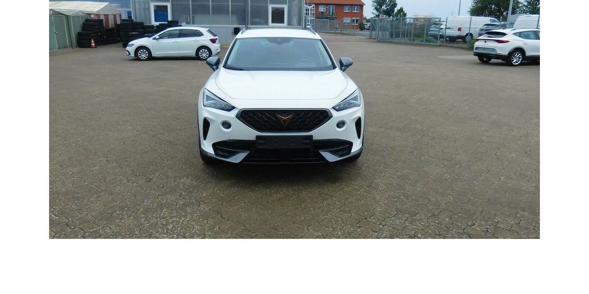 Cupra Formentor 1.5 TSI BMT Klima LED Alu Navi 23.800 km 20.990 &euro; Vordorf 38533