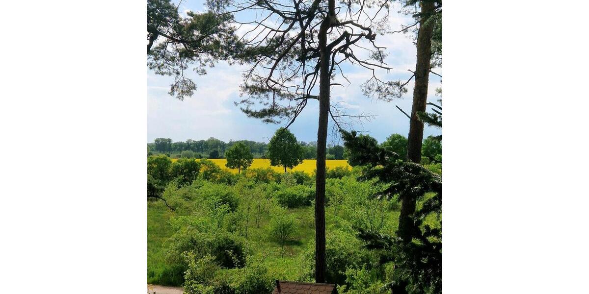 Bungalow Schönebeck (Elbe) Pretzien - 3 Zimmer, 35 m&sup2;, 35.000&euro; | Angebot:26356192