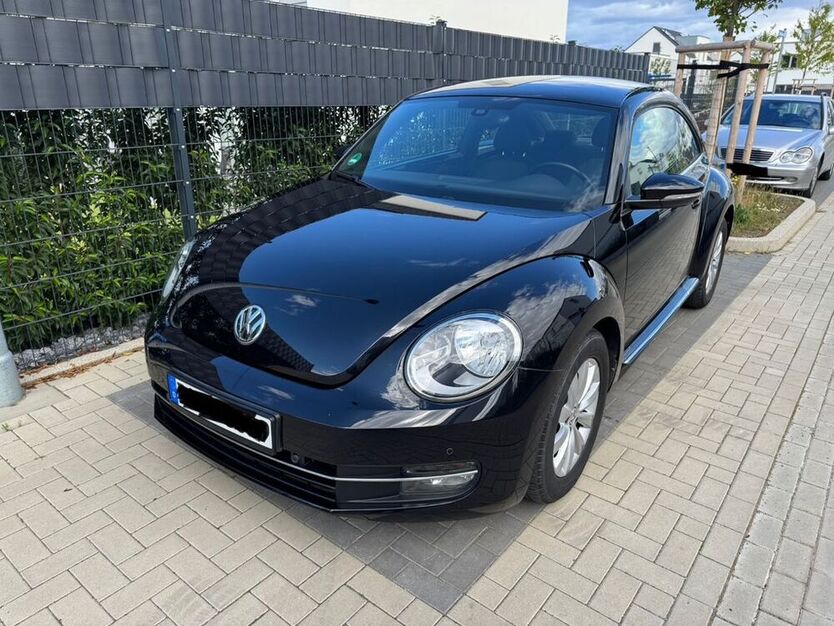 Beetle