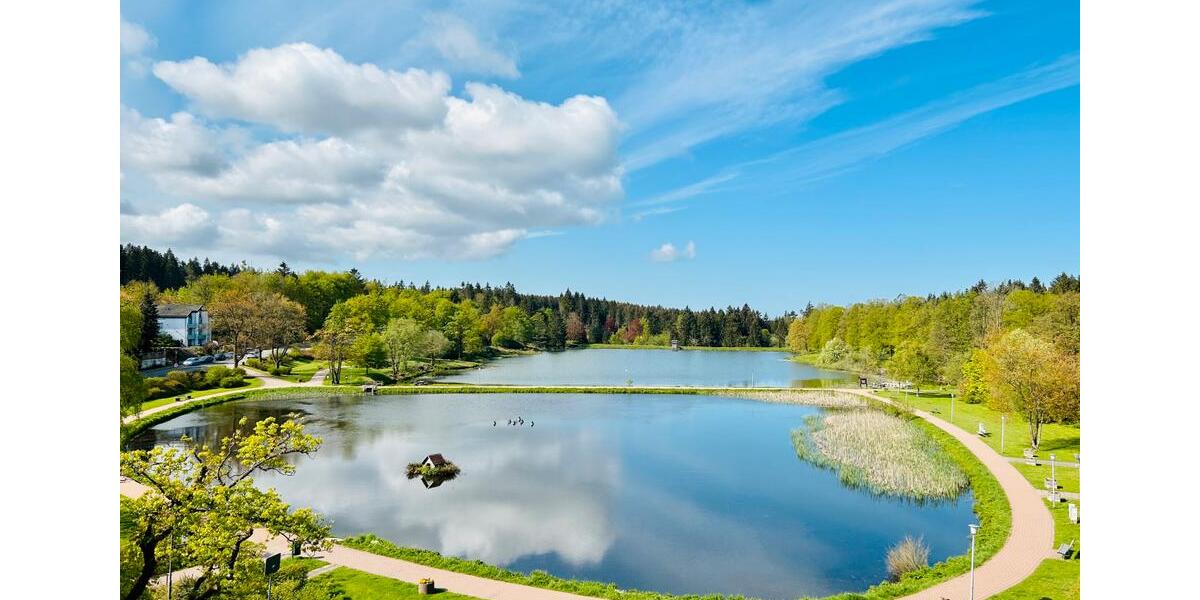WohnungApartment möbliert Goslar-Hahnenklee inkl Strom & Heizung 1 zimmer