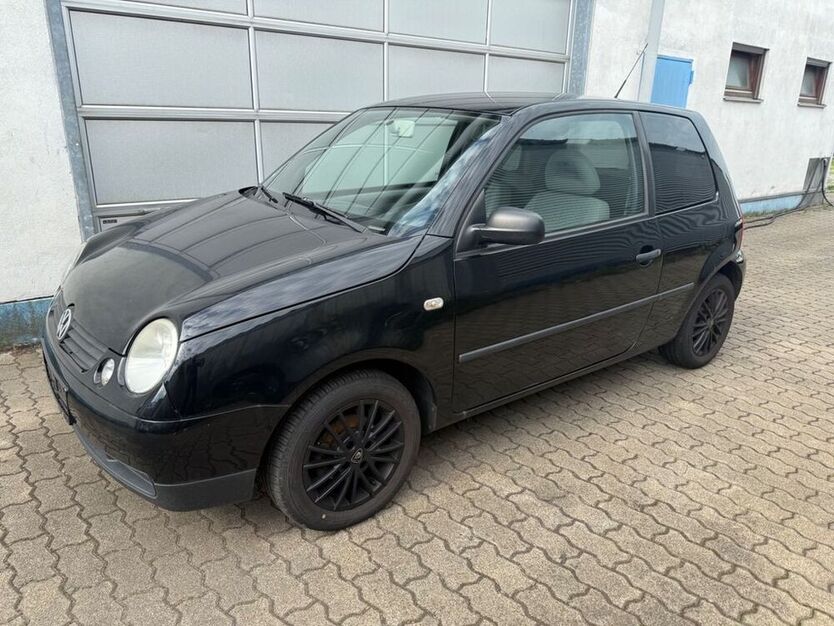 Lupo