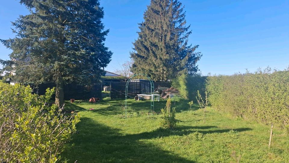Doppelhaushälfte Chorin - 5 Zimmer, 229 m&sup2;, 295.000&euro; | Angebot:27005370