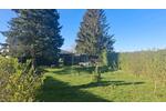 Doppelhaushälfte Chorin - 5 Zimmer, 229 m&sup2;, 295.000&euro; | Angebot:27005370