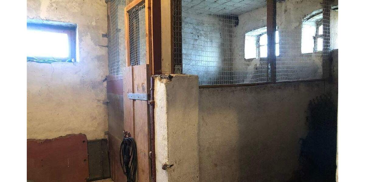 Einfamilienhaus Heldrungen Heldrungen - 5 Zimmer, 136 m&sup2;, 115.000&euro; | Angebot:25678595