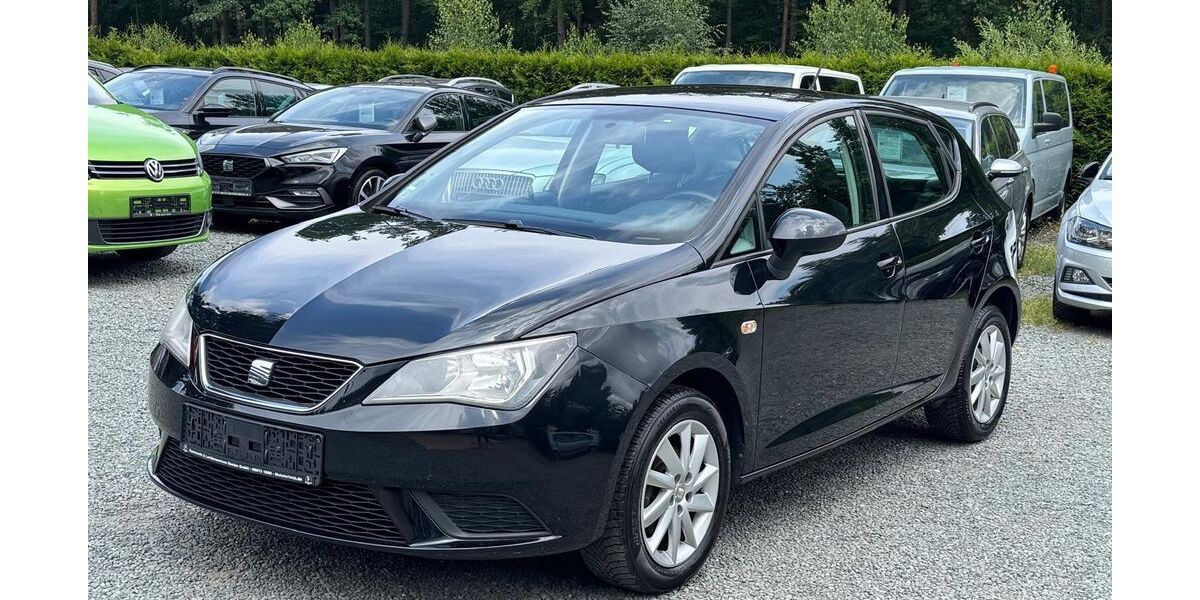 Seat Ibiza 151.192 km 5.500 &euro; St. Gangloff 07629