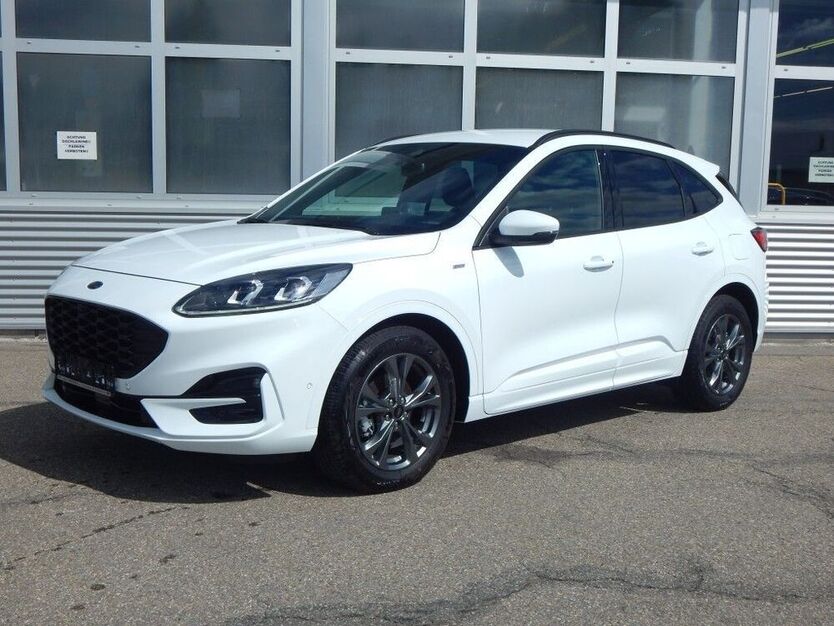 Kuga