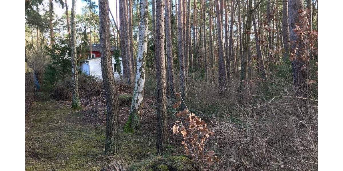 Grundstück Petershagen/Eggersdorf Nord - 180.000&euro; | Angebot:25338905