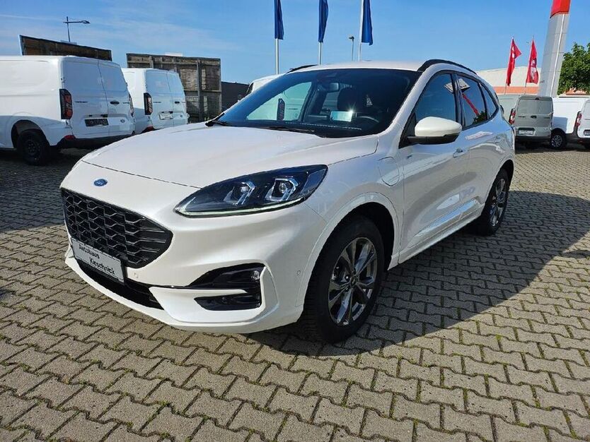 Kuga