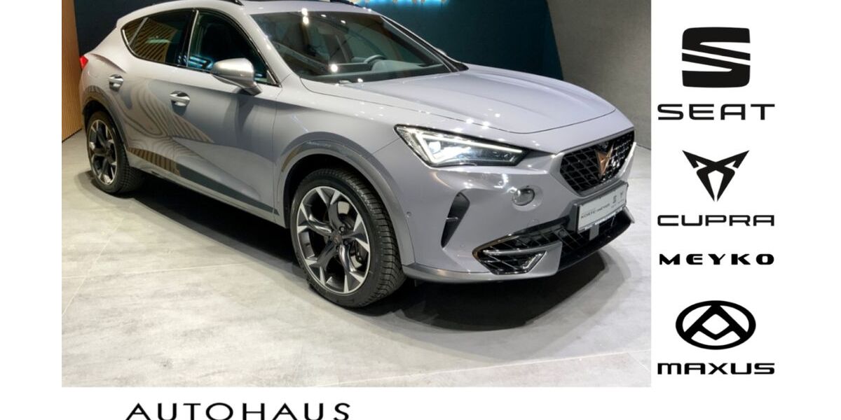 Cupra Formentor 49.300 km 39.900 &euro; Langwedel 27299