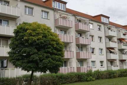 Wohnung Frankfurt (Oder) Lossow - 1 Zimmer, 36 m&sup2;, 279&euro; | Angebot:25658637