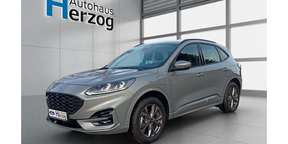 Ford Kuga 21.072 km 30.490 &euro; Schramberg 78713