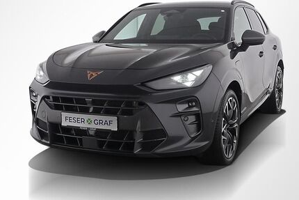 Cupra Terramar 9.250 km 39.880 &euro; Höchstadt an der Aisch 91315