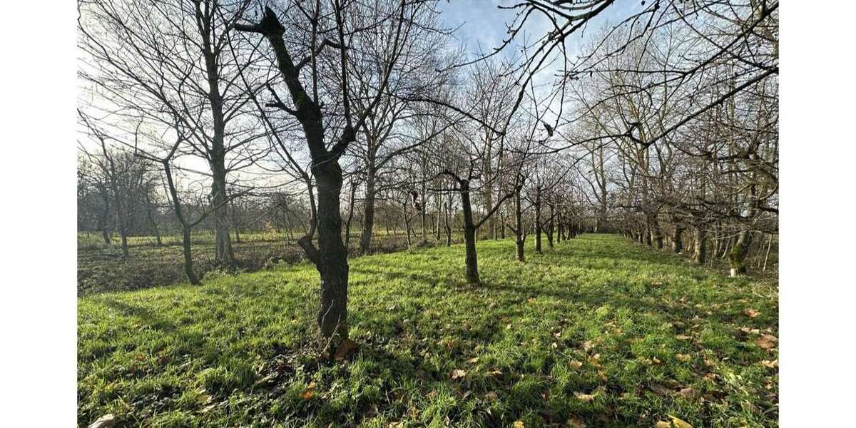 Grundstück Engelschoff / Neuland Neuland - 63.000&euro; | Angebot:25195364