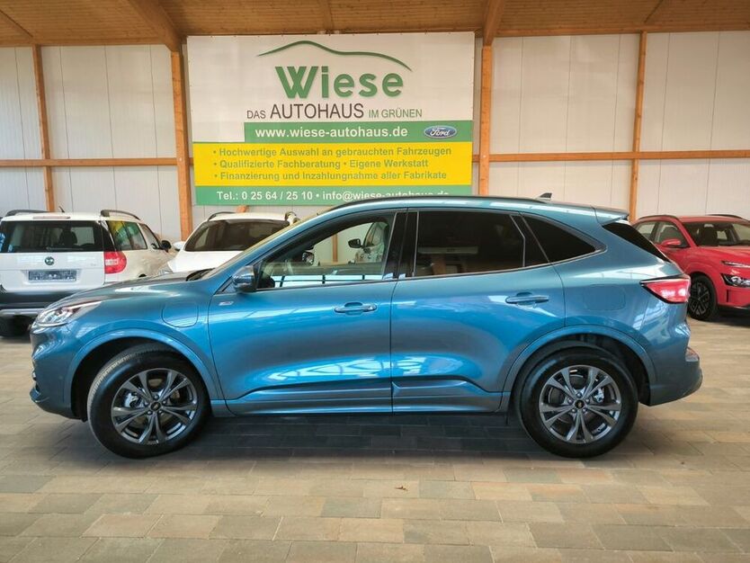 Kuga