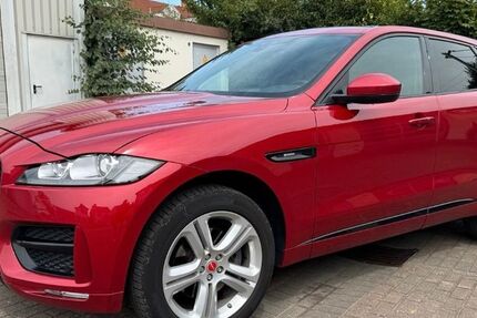 Jaguar F-Pace 208.000 km 14.000 &euro; Schifferstadt 67105